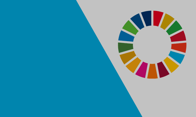 SDGs